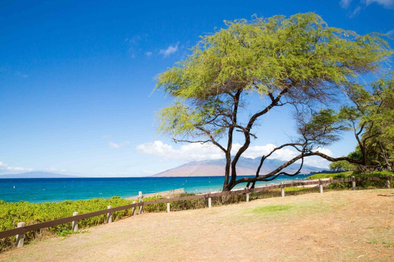 Hale Kamaole 254 Villa Wailea  Exteriör bild